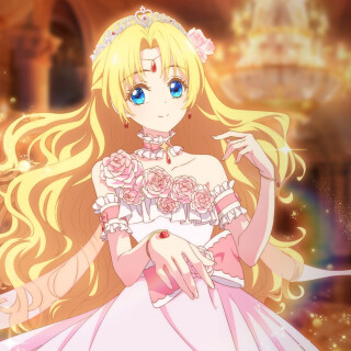 Ballot Option: The Fated Magical Princess: Who Made Me a Princess