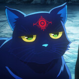 Ballot Option: Night