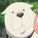 Ballot Option: Bond Forger