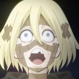 Ballot Option: Gamute