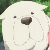 Ballot Option: Bond Forger