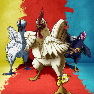 Ballot Option: Rooster Fighter