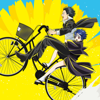 Ballot Option: Dandelion