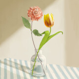 Ballot Option: "Ding-dong" by Mao Abe