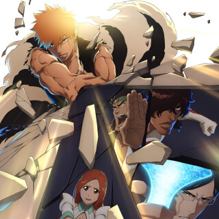 Ballot Option: Bleach: Thousand-Year Blood War - The Calamity