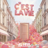 Ballot Option: "C'est la vie" by Choutokkyuu