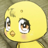 Ballot Option: Piyoko
